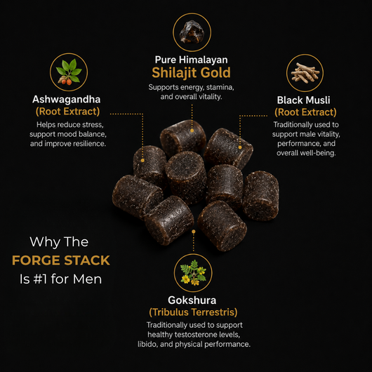 Men's Proprietary FORGE STACK™ (60 Chews)